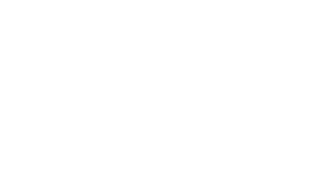 VietSoft Vision