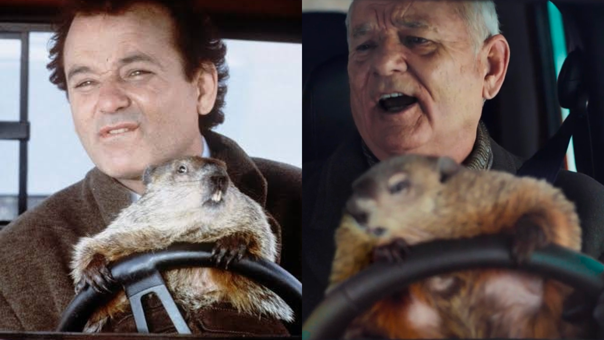 Groundhog Day Hard Coded