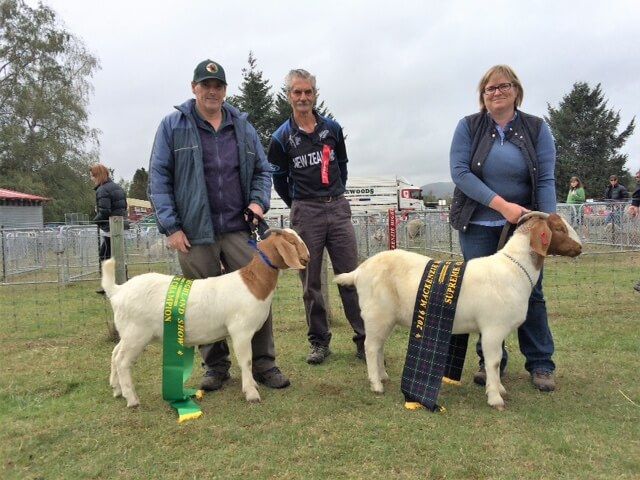 2016 Mackenzie Show Supreme Champion