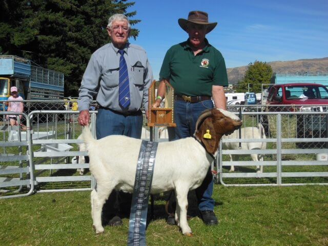 2017 Wanaka Show Supreme Champion