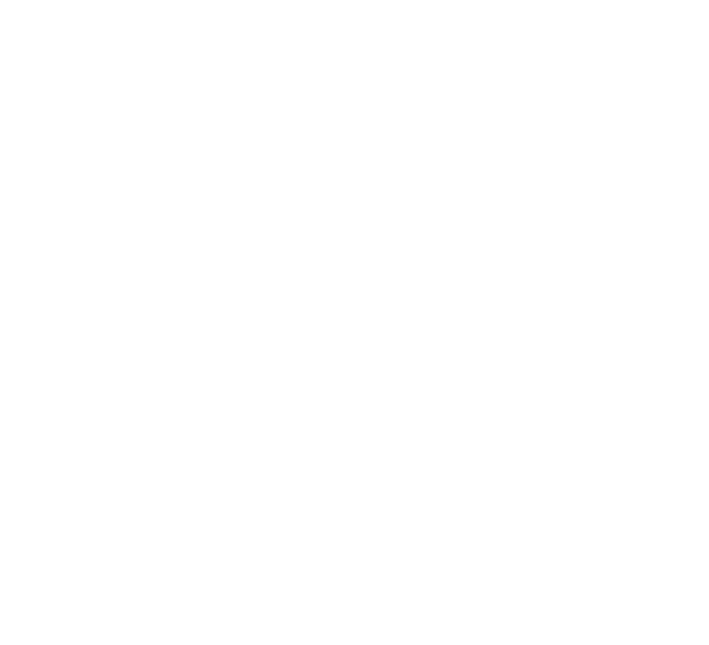 The way we see the world