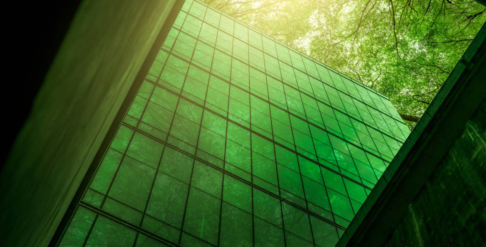 Project banner image