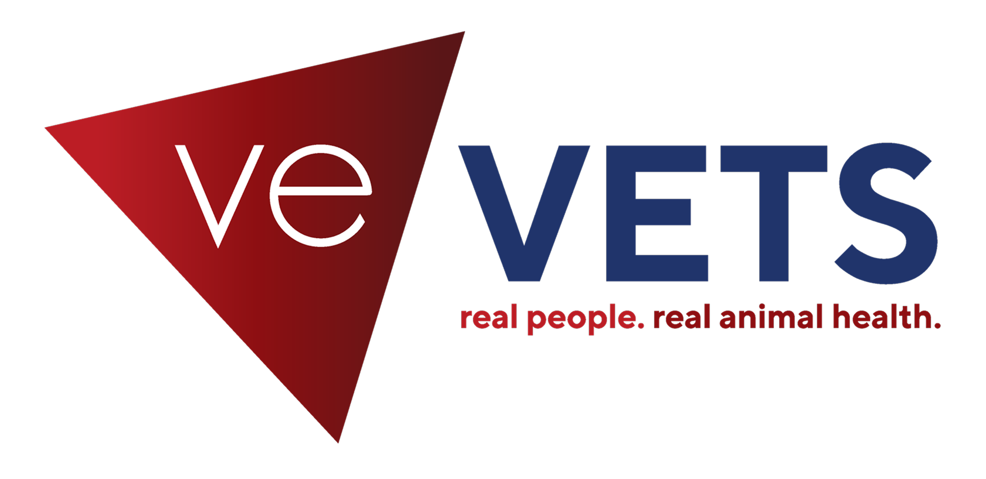 V.E. Vets Logo
